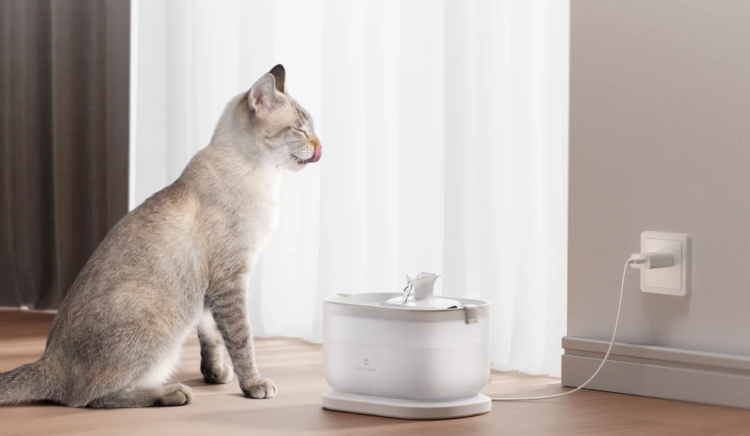 Petlibro: Revolutionizing Pet Care with Innovative Hydration Solutions