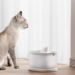 Petlibro: Revolutionizing Pet Care with Innovative Hydration Solutions