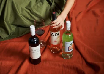 Discover the Richness: Red Wines at The Great Wine Co.