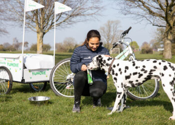 YuMOVE : Gentle Yet Effective Digestive Solutions