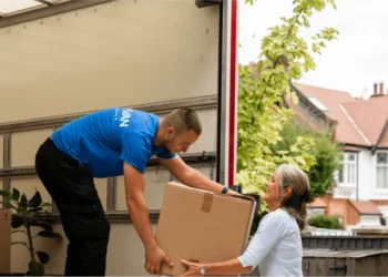 Comprehensive Guide to AnyVan Services: Efficient Solutions for All Your Transportation Needs