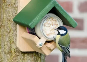 Delight Your Garden Birds: Discover Garden Wildlife Direct Peanut Butter Feeders