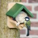 Delight Your Garden Birds: Discover Garden Wildlife Direct Peanut Butter Feeders
