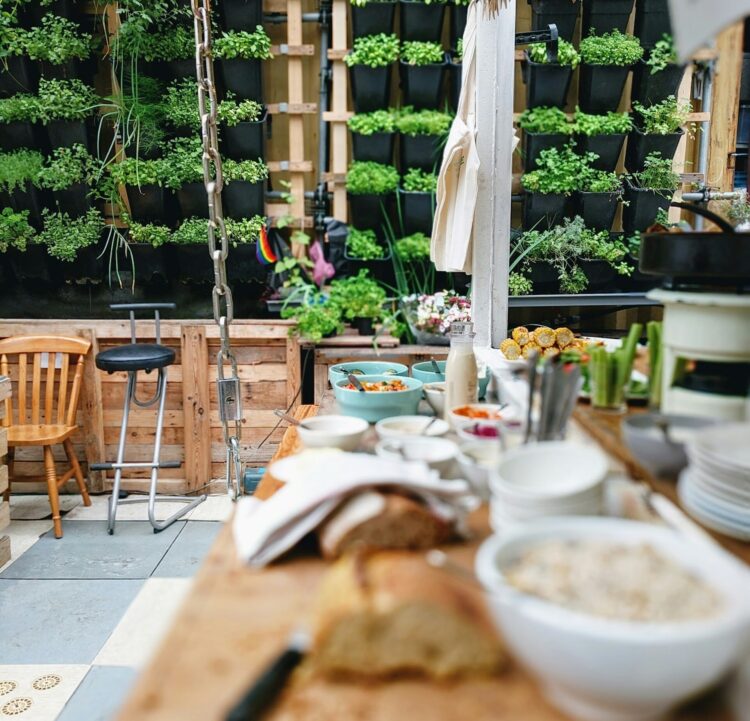 Experience the Outdoors Like Never Before: Sunjoy Group’s Top Picks