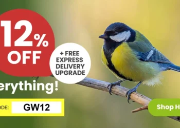 Garden Wildlife Direct: Nurturing Nature in Your Backyard