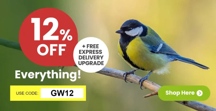 Garden Wildlife Direct: Nurturing Nature in Your Backyard