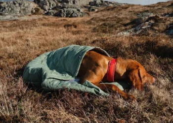 Tyylikkäät ja kodikkaat koiran sängyt ja alustat osoitteessa PetenKoiratarvike.com