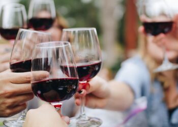Unveil the Finest: Curated Wines at The Great Wine Co.
