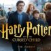 Harry Potter and The Cursed Child: The Enchanted Stage