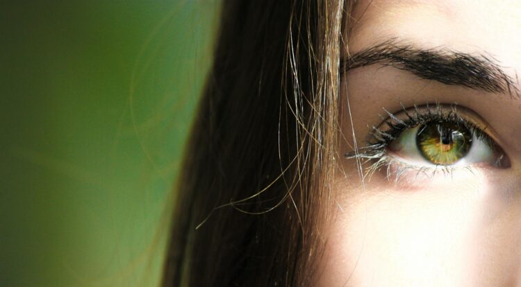 Unlock Salon-Quality Results at Home with Mylee’s Essential Lash and Brow Products