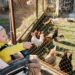 Versatile Pushchairs for Every Journey: From City Streets to Countryside Trails