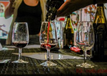 Cellar Rats: Mastering the Art of Exceptional Winemaking