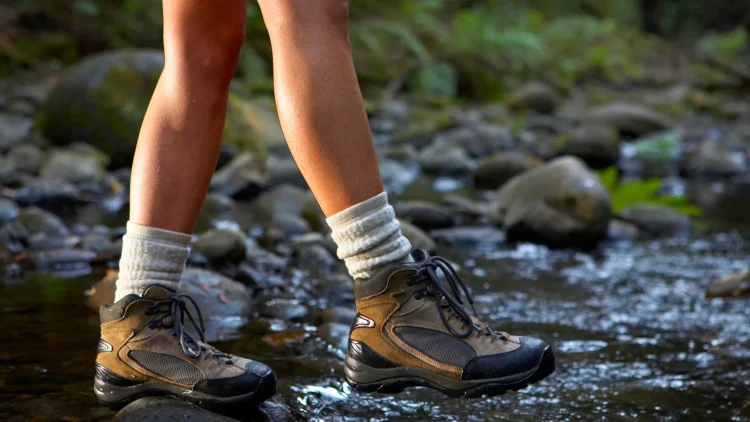 Upgrade Your Footwear: Women’s Comfy Trainers Now Available at Pavers