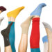 Find Your Perfect Pair: Explore SockShop’s Exclusive Collection Today!