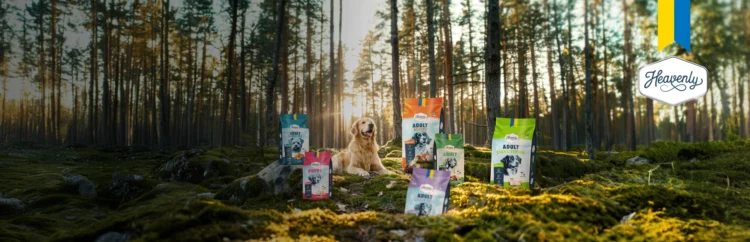 Ta del av det roliga med Dogman and Friends: En värld av äventyr och vänskap