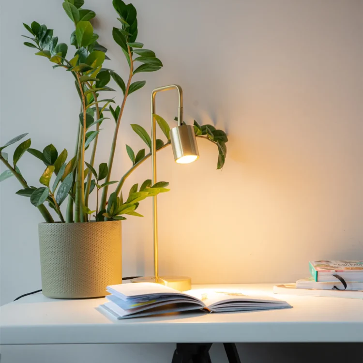 Hoe kies je de perfecte tafellamp? Lampenlicht’s Top 5