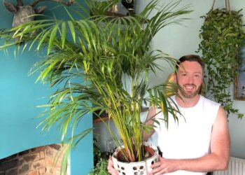From Classic to Contemporary: Explore Haute Florist’s Plant Offerings