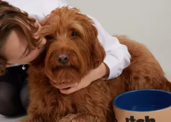 Itch pet: Pet Care Crafted with Love
