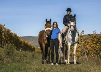 Discover GSEquestrian: Where Style Meets Performance in Equestrian Gear