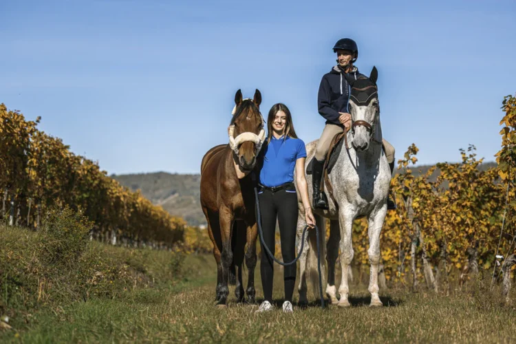Discover GSEquestrian: Where Style Meets Performance in Equestrian Gear