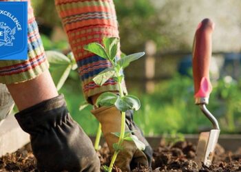 Master the Art of Herbal Medicine with the CENTRE OF EXCELLENCE: Explore Accredited Herbalist Courses