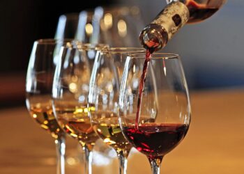 Discover a World of Exceptional Wines at Cellar Rats