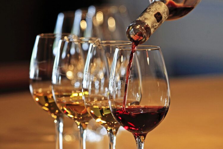 Discover a World of Exceptional Wines at Cellar Rats