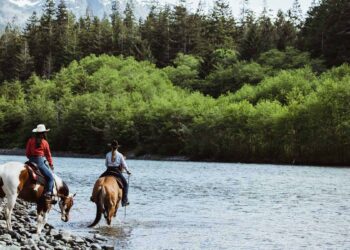 GS Equestrian: The Premium Destination for Equestrian Enthusiasts