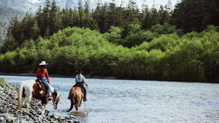 GS Equestrian: The Premium Destination for Equestrian Enthusiasts