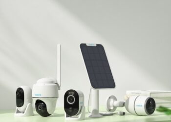 Entdecken Sie die Möglichkeiten der Batterieüberwachung mit Reolink-Kameras