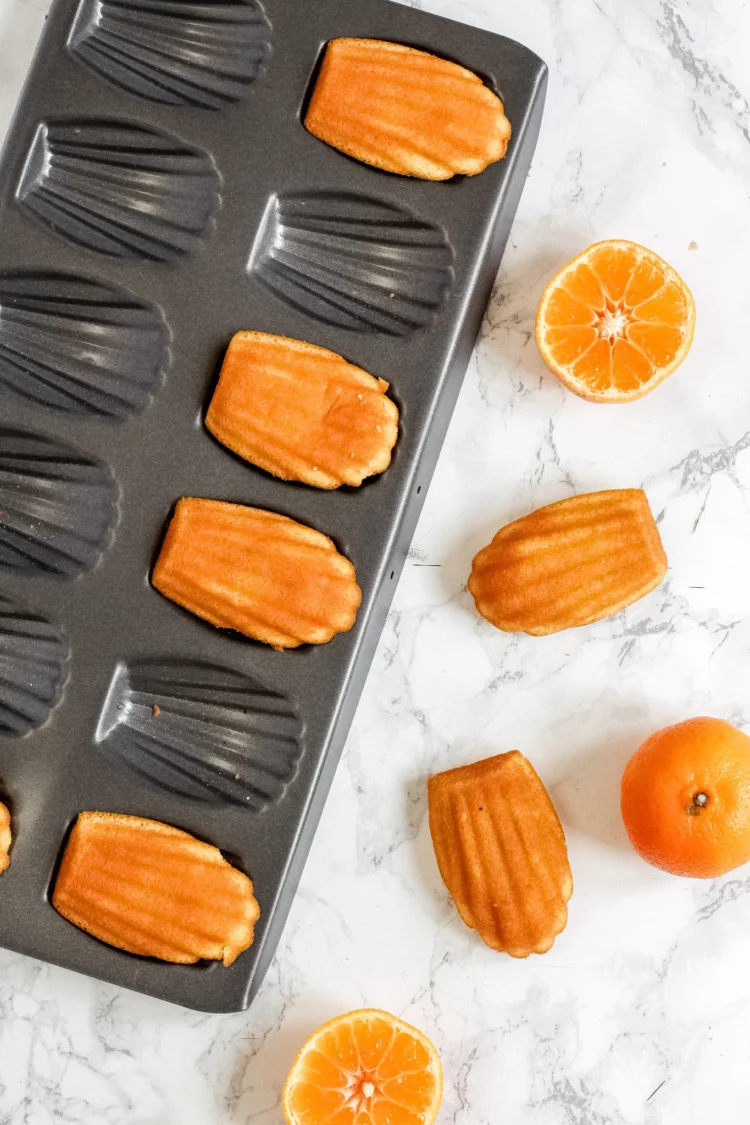 Find the Perfect Baking Tray for Every Cake Recipe at The Cake Decorating Company