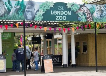 Planning Your Visit: Helpful Information for a Fun-filled Day at London Zoo