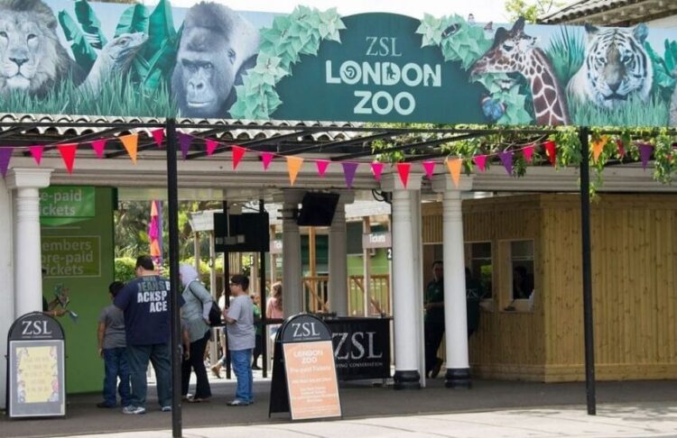 Planning Your Visit: Helpful Information for a Fun-filled Day at London Zoo