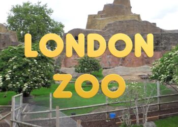 London Zoo: A Journey Through Wildlife and Conservation