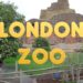 London Zoo: A Journey Through Wildlife and Conservation
