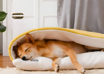 Enhancing Your Pet’s Well-Being with FunnyFuzzy’s Premium Beds