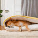 Enhancing Your Pet’s Well-Being with FunnyFuzzy’s Premium Beds