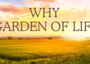 Elevate Your Health: The Garden of Life Revolution