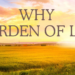 Elevate Your Health: The Garden of Life Revolution