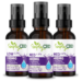 Your New Favorite Beverage: Why You Should Try Simply CBD Drinks Today
