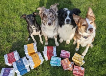 Discover the Benefits of Natural Raw Dog Food with Paleo Ridge