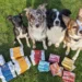 Discover the Benefits of Natural Raw Dog Food with Paleo Ridge