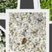 Bereichern Sie Ihre Grünfläche mit der Baumschule Horstmann: Der Garten der Möglichkeiten