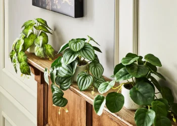 Effortless Elegance: Transform Your Space with Artificial Plants from Joe Browns