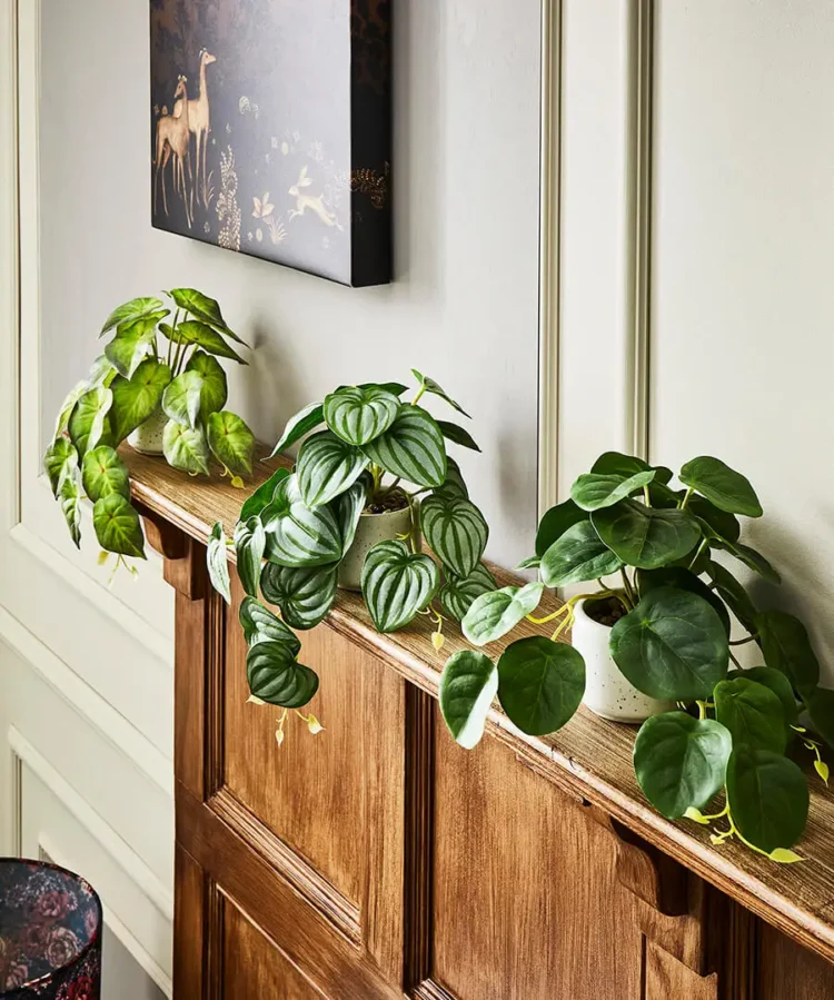 Effortless Elegance: Transform Your Space with Artificial Plants from Joe Browns