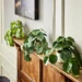 Effortless Elegance: Transform Your Space with Artificial Plants from Joe Browns