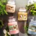 Scent-sational Savings: Unleash the Fragrance of Yankee Candles at Candles Direct