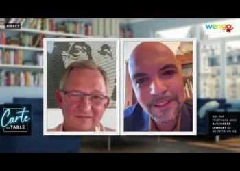 Simplifier les complexités de la vie avec l&rsquo;aide d&rsquo;un expert par Wengo