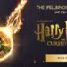 Time-Twisting Tales: Harry Potter and the Journey of Albus Potter