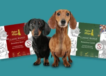 Discover the Benefits of Paleo Ridge: Premium Raw Dog Food for All Life Stages